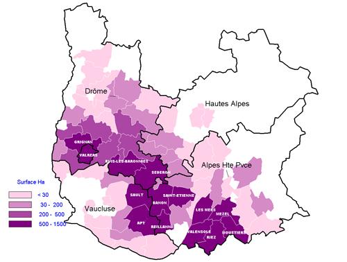 lavender production sites